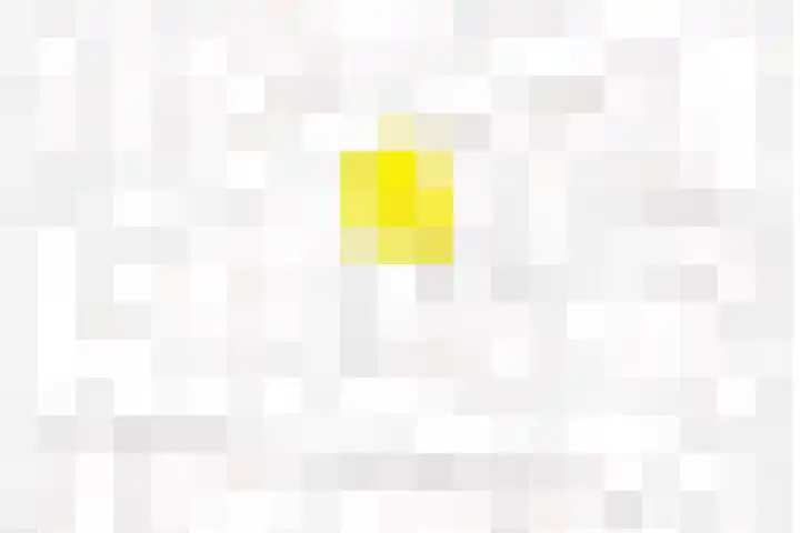 Dreef 15 Made thumbnail 41