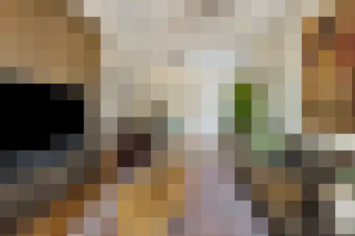 Dreef 15 Made thumbnail 7