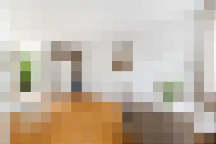 Dreef 17 Leersum thumbnail 11