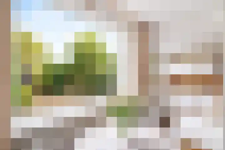 Dreef 17 Leersum thumbnail 12