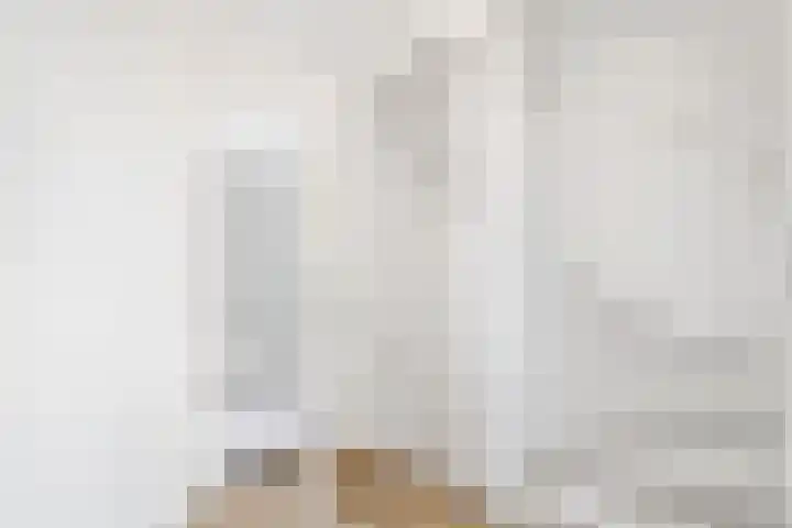 Dreef 17 Leersum thumbnail 18