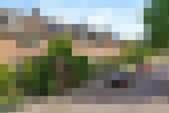 Dreef 17 Leersum thumbnail 36