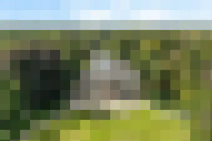 Dreef 17 Leersum thumbnail 42