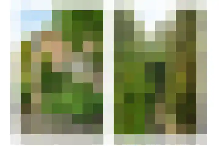 Dreef 17 Leersum thumbnail 5