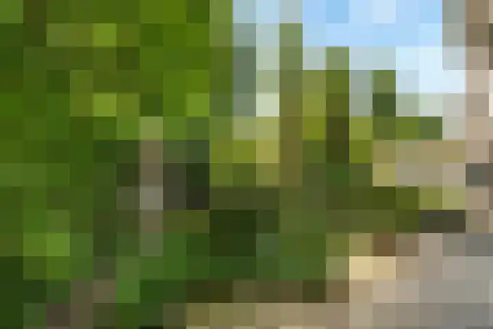 Dreef 17 Leersum thumbnail 6