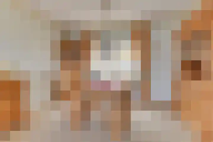Dreef 17 't Veld thumbnail 11