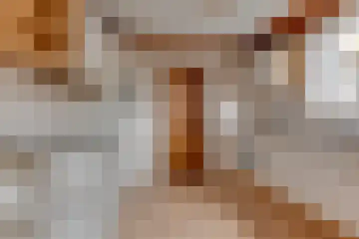Dreef 17 't Veld thumbnail 13