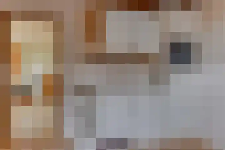 Dreef 17 't Veld thumbnail 14