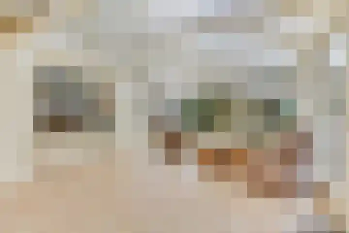 Dreef 17 't Veld thumbnail 19