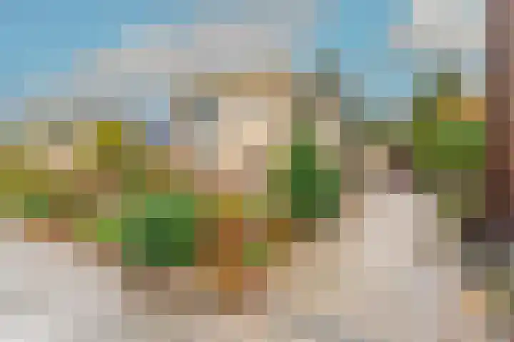 Dreef 17 't Veld foto 2