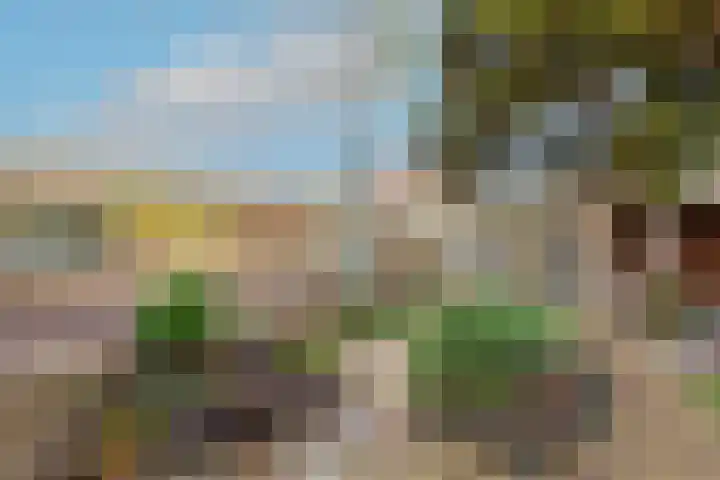 Dreef 17 't Veld thumbnail 39