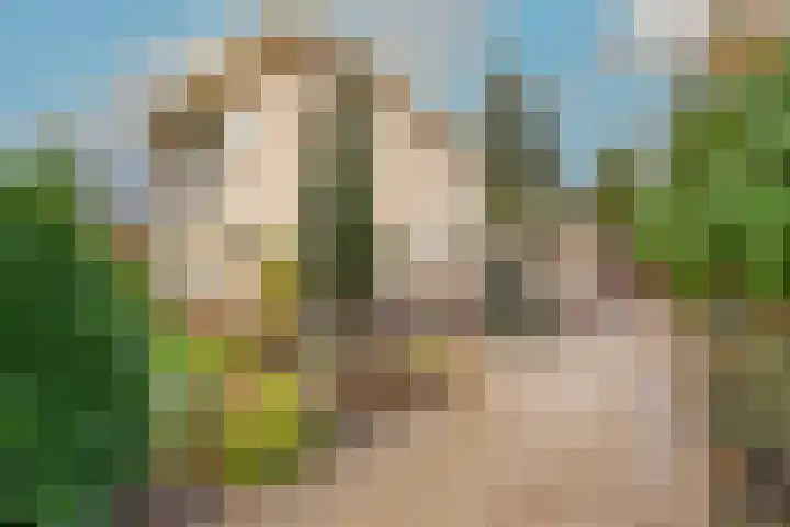 Dreef 17 't Veld thumbnail 4