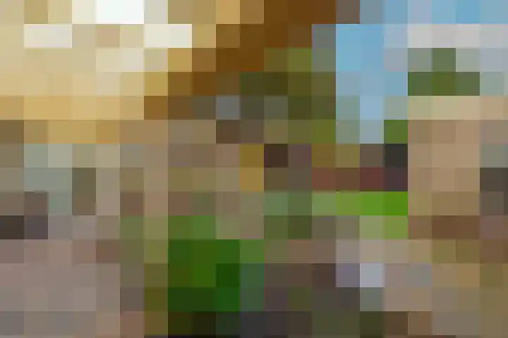 Dreef 17 't Veld thumbnail 40