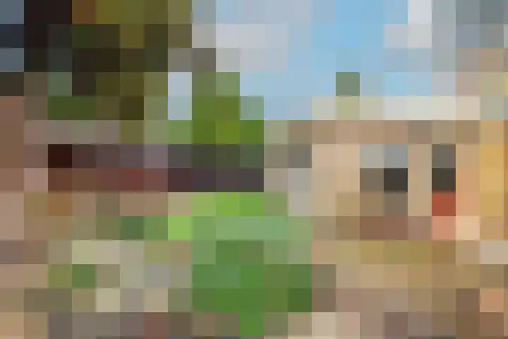 Dreef 17 't Veld thumbnail 41