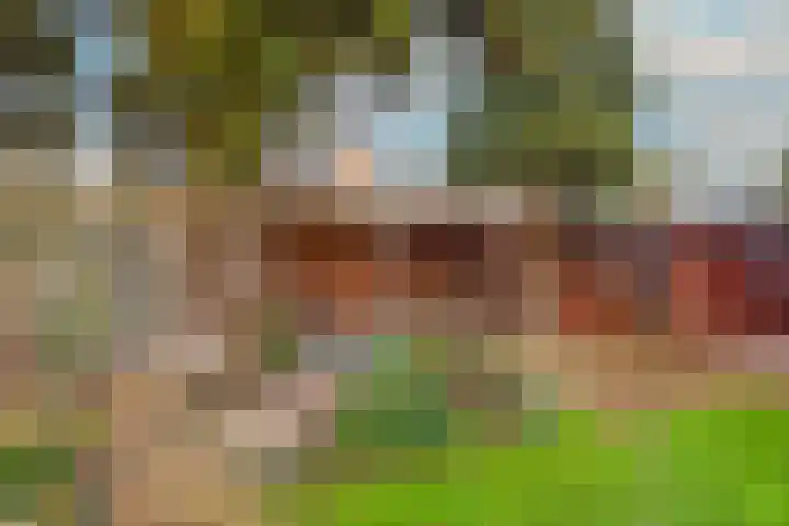 Dreef 17 't Veld thumbnail 42