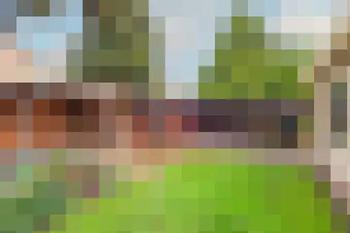Dreef 17 't Veld thumbnail 43