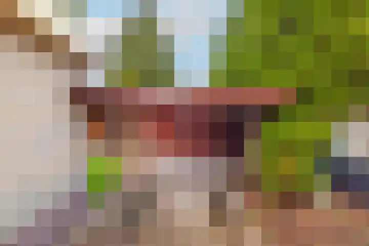 Dreef 17 't Veld thumbnail 44