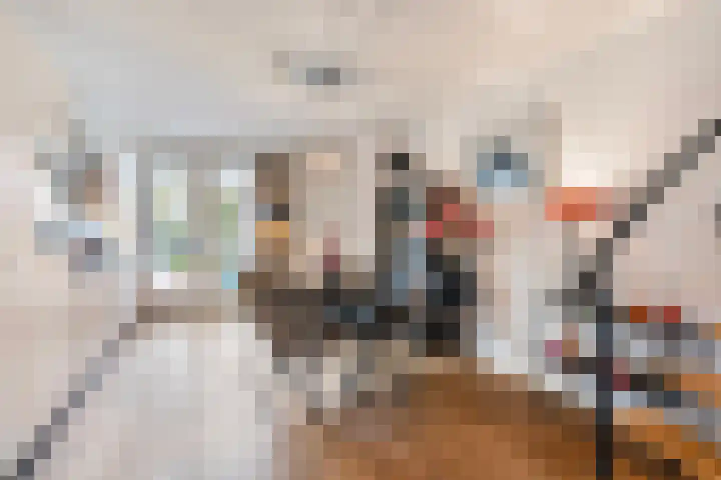 Dreef 18 Breda thumbnail 10
