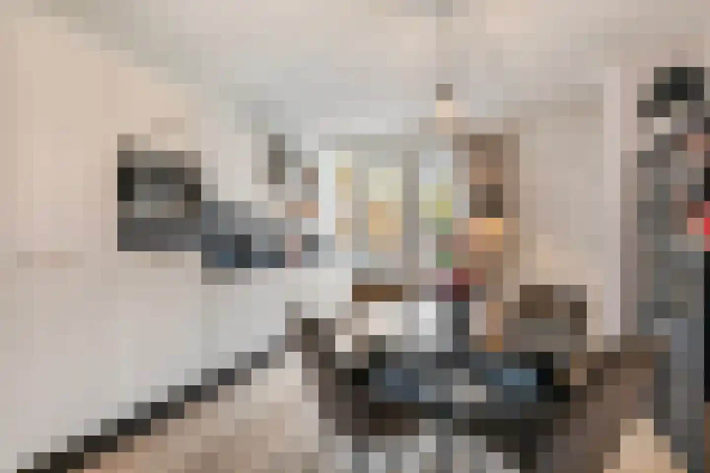 Dreef 18 Breda thumbnail 12