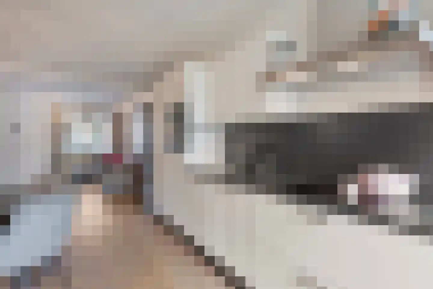 Dreef 18 Breda thumbnail 14