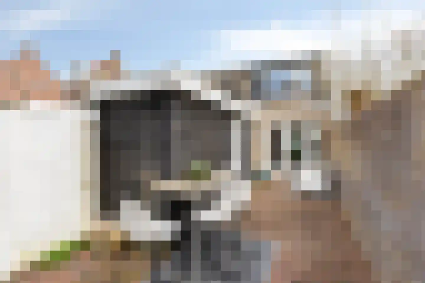 Dreef 18 Breda thumbnail 25