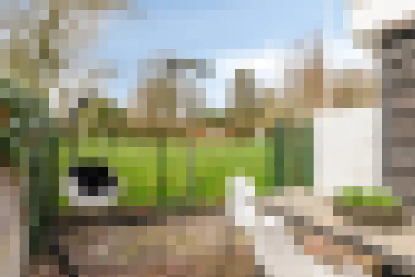 Dreef 18 Breda thumbnail 26
