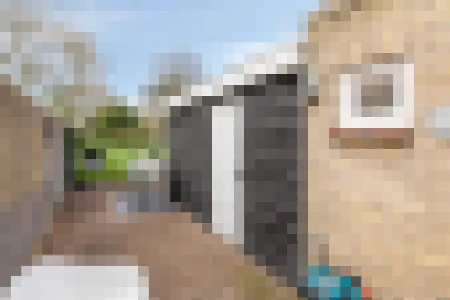 Dreef 18 Breda thumbnail 28