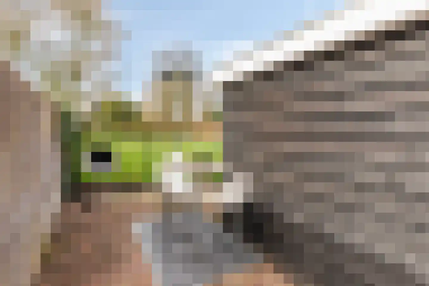 Dreef 18 Breda thumbnail 29
