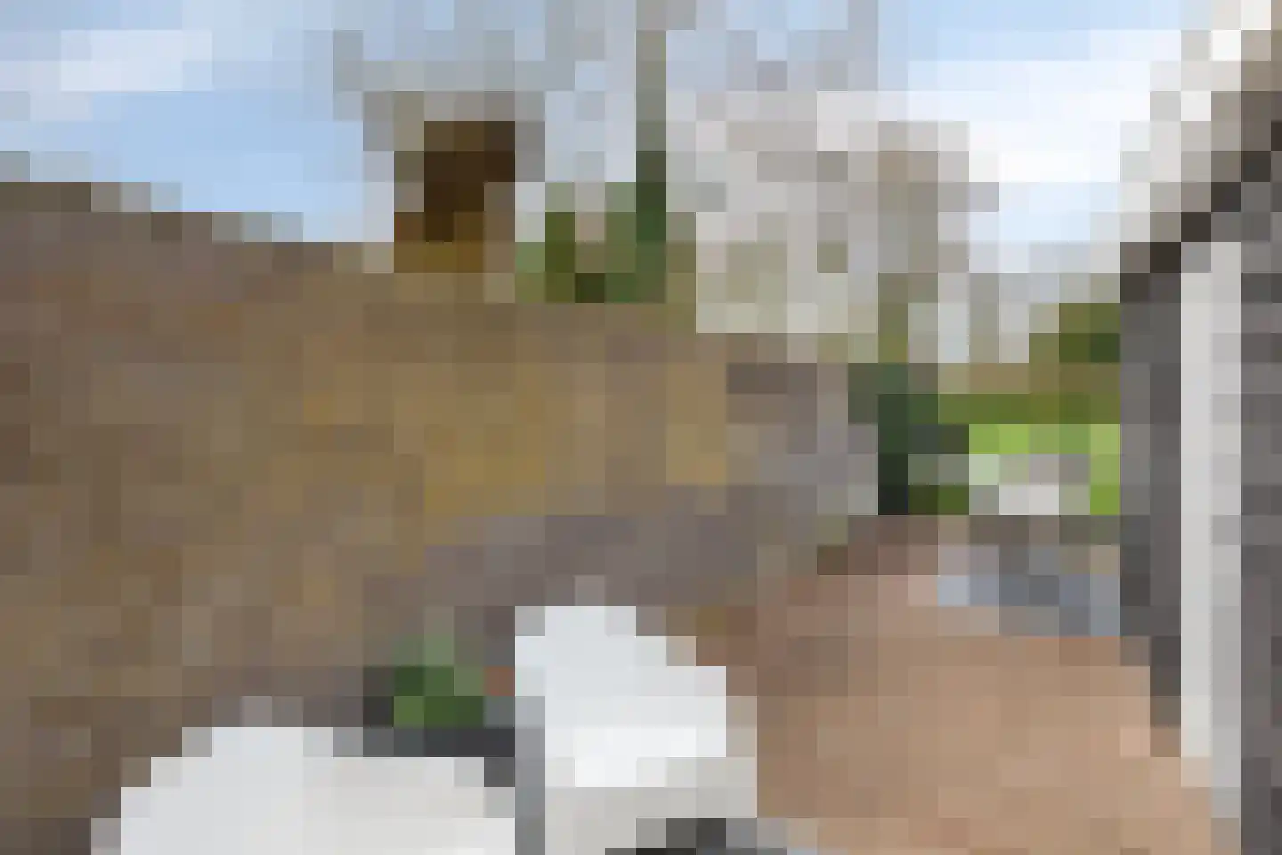 Dreef 18 Breda thumbnail 30
