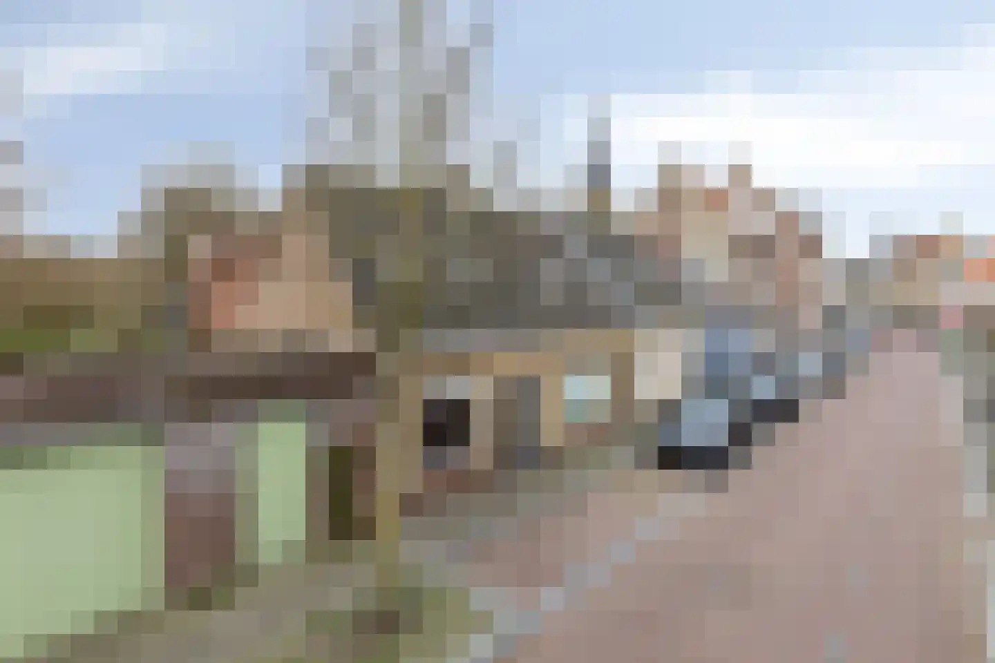 Dreef 18 Breda thumbnail 33