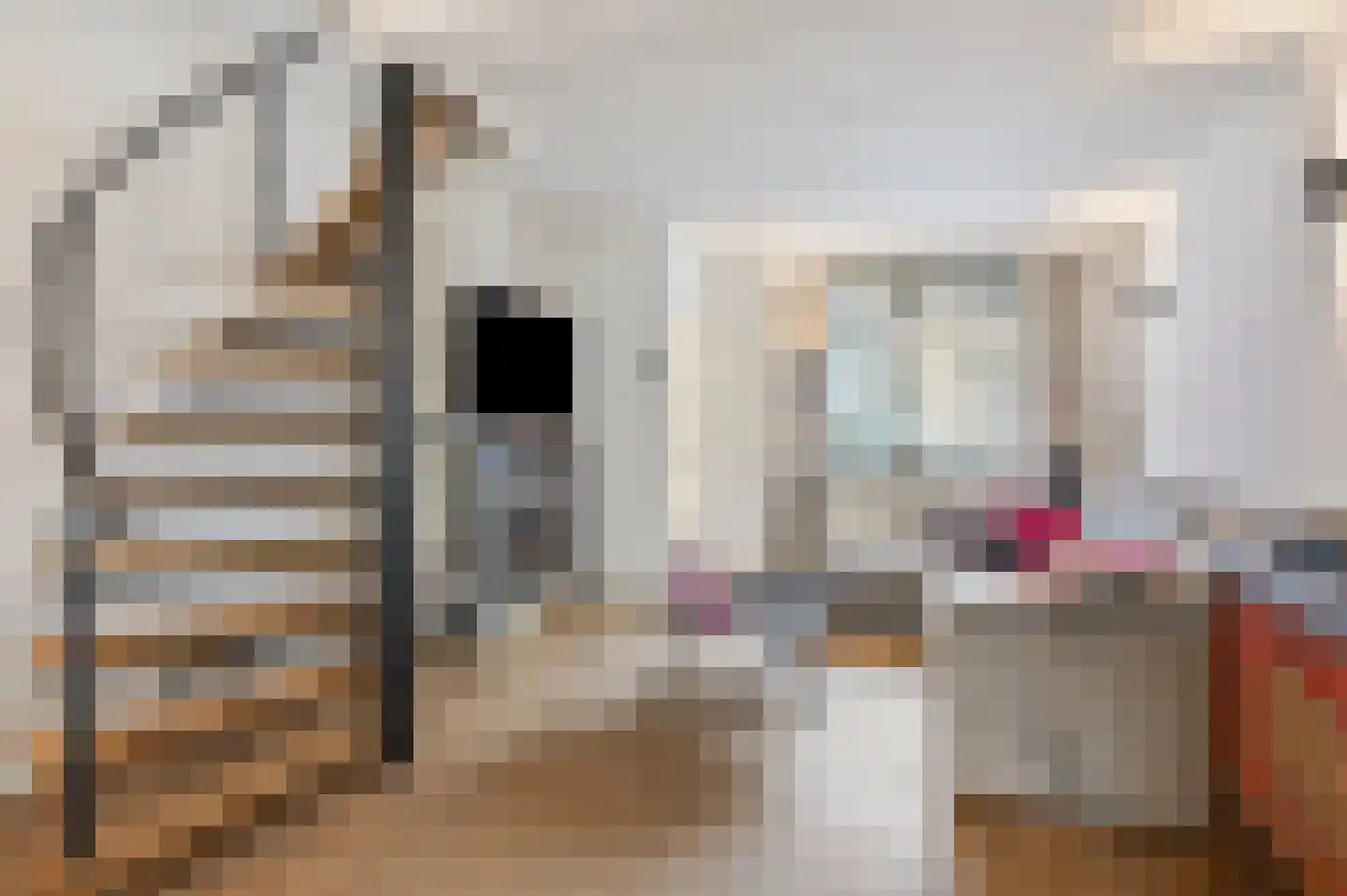 Dreef 18 Breda thumbnail 9