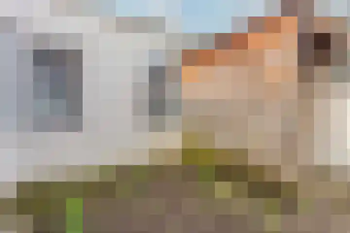 Dreef 19 Amersfoort thumbnail 19