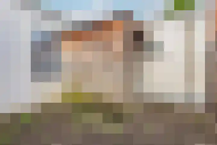 Dreef 19 Amersfoort thumbnail 29