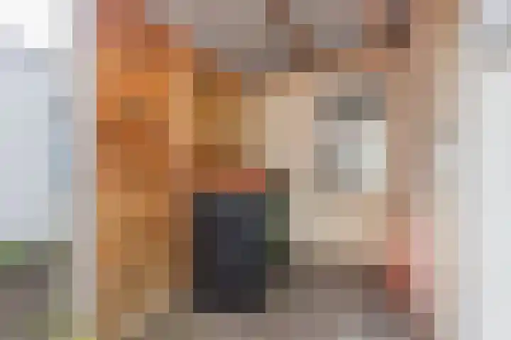 Dreef 19 Amersfoort thumbnail 30