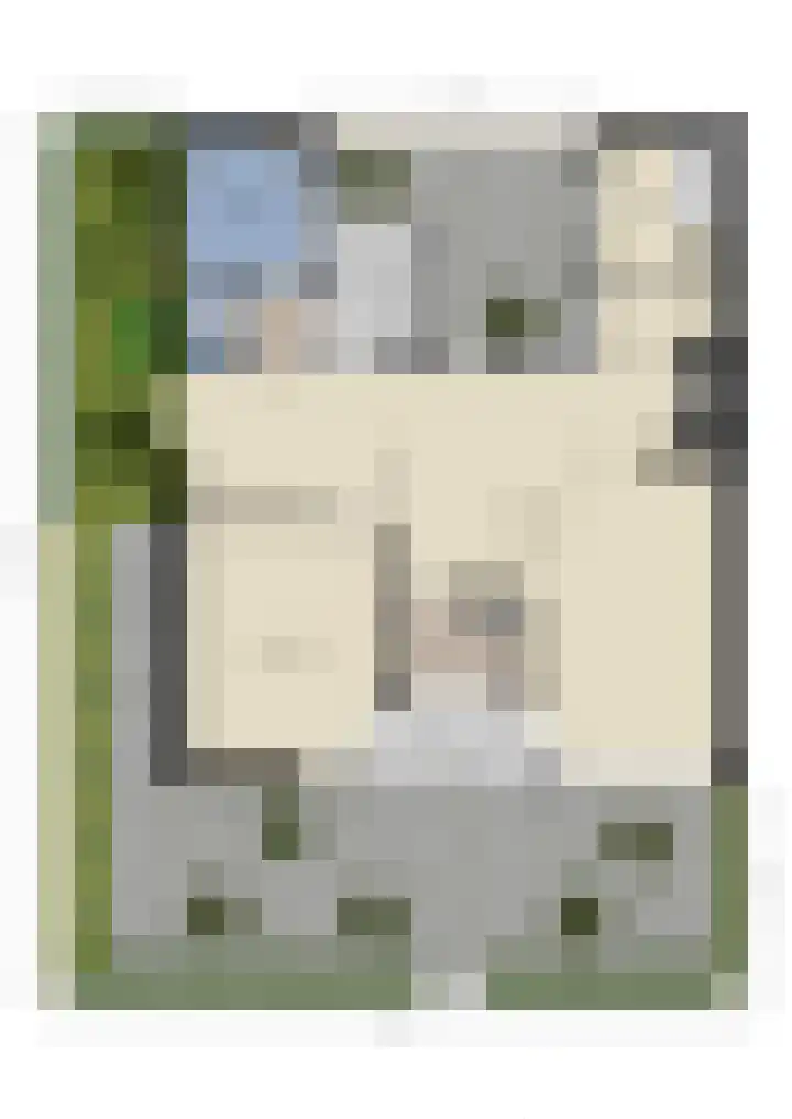 Dreef 19 Amersfoort thumbnail 34