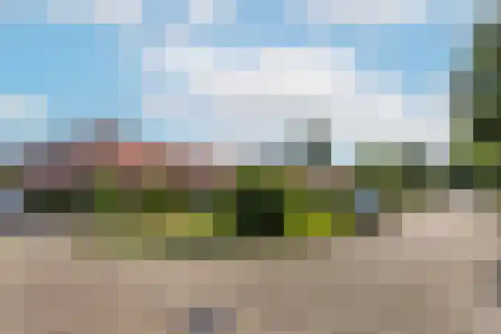 Dreef 19 Amersfoort thumbnail 4