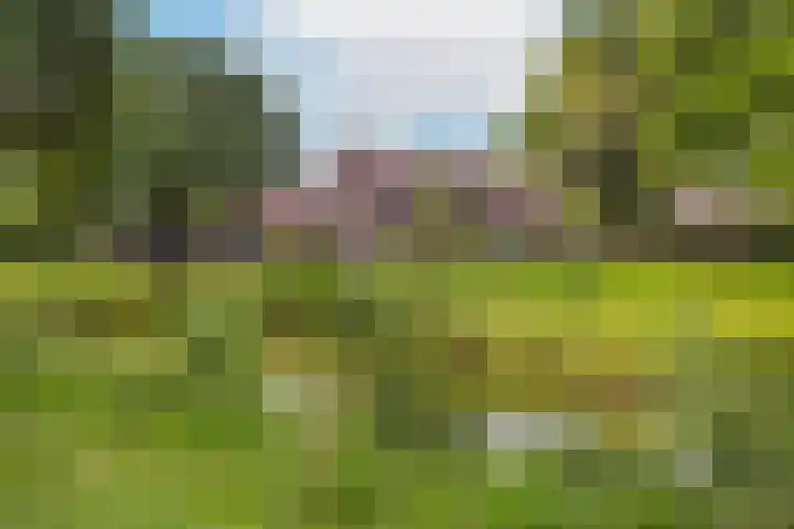 Dreef 19 Amersfoort thumbnail 5
