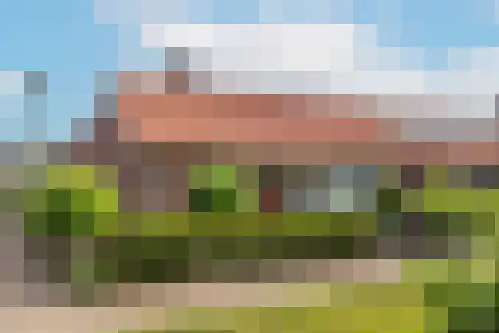Dreef 19 Amersfoort thumbnail 6