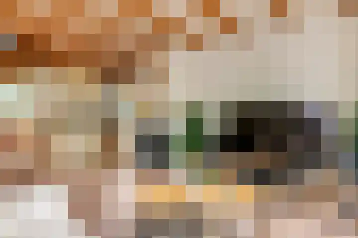 Dreef 19 Est thumbnail 10