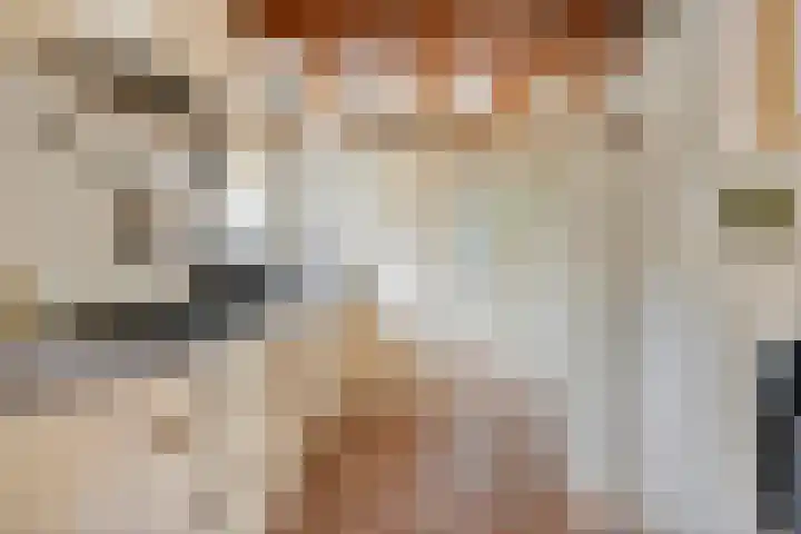 Dreef 19 Est thumbnail 11