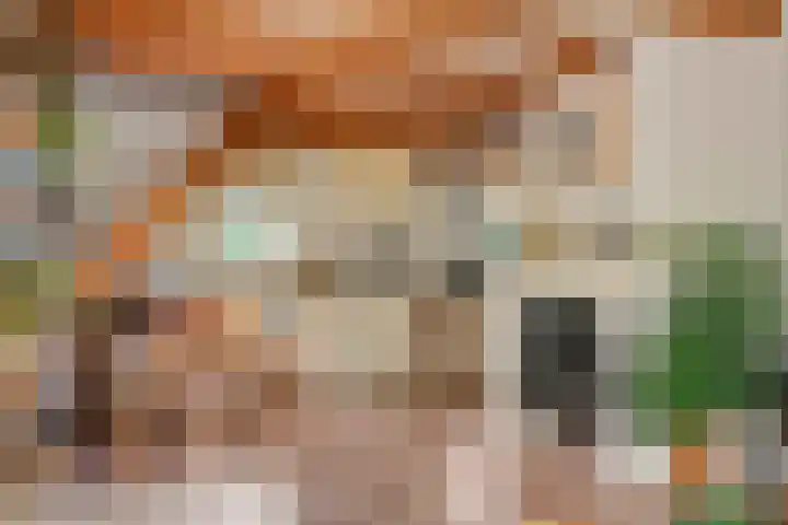 Dreef 19 Est thumbnail 12
