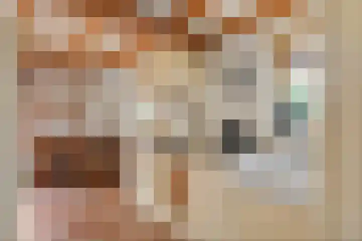 Dreef 19 Est thumbnail 13