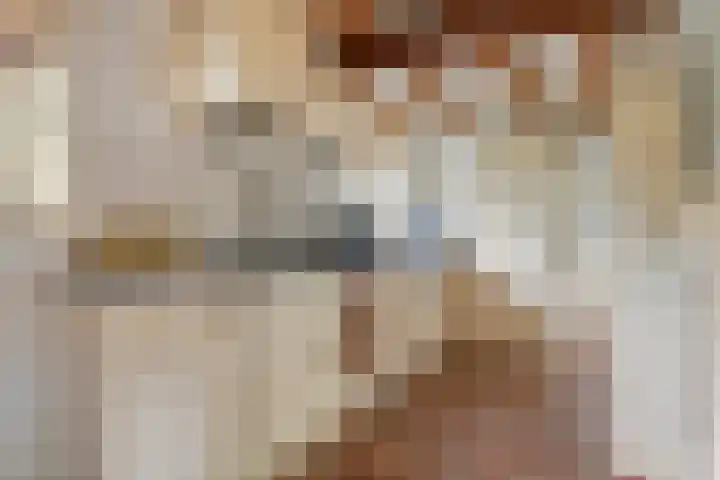 Dreef 19 Est thumbnail 14
