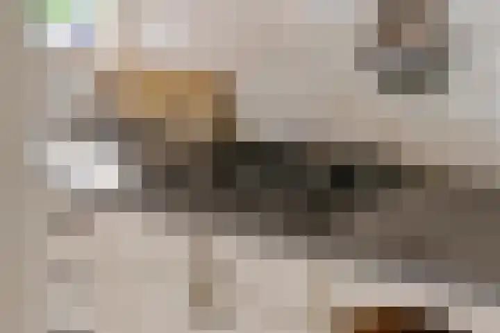 Dreef 19 Est thumbnail 15