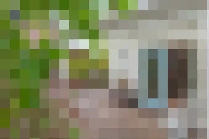 Dreef 19 Est thumbnail 18