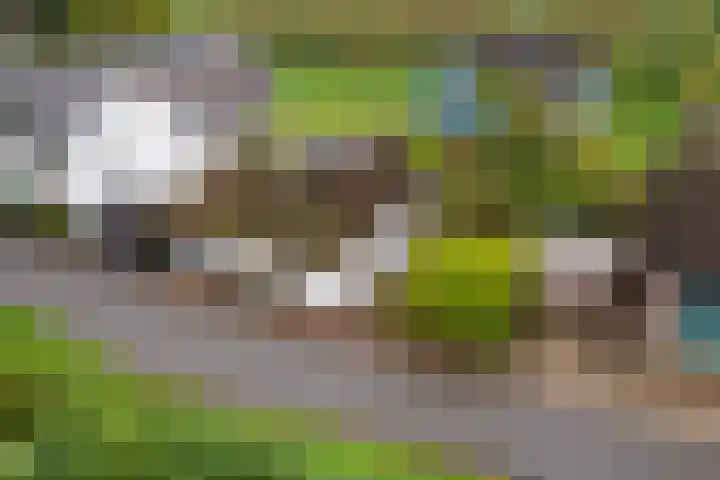 Dreef 19 Est foto 2