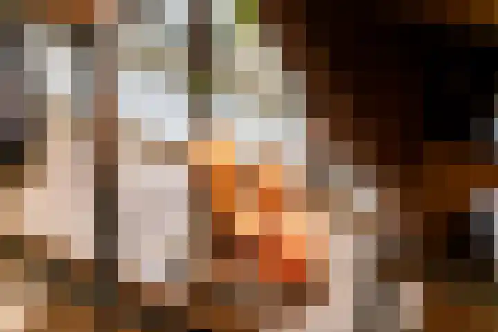 Dreef 19 Est thumbnail 20