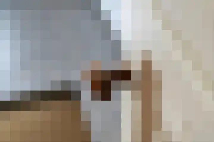Dreef 19 Est thumbnail 21