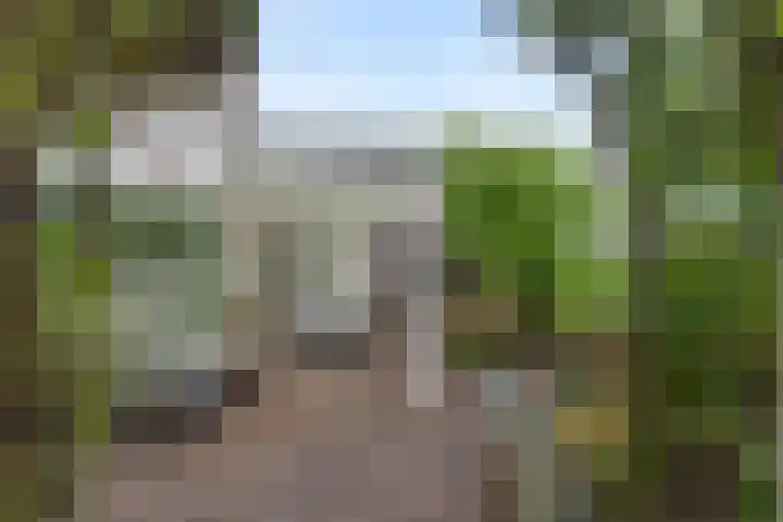 Dreef 19 Est thumbnail 29