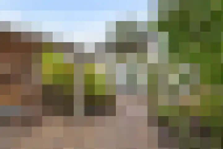 Dreef 19 Est thumbnail 30